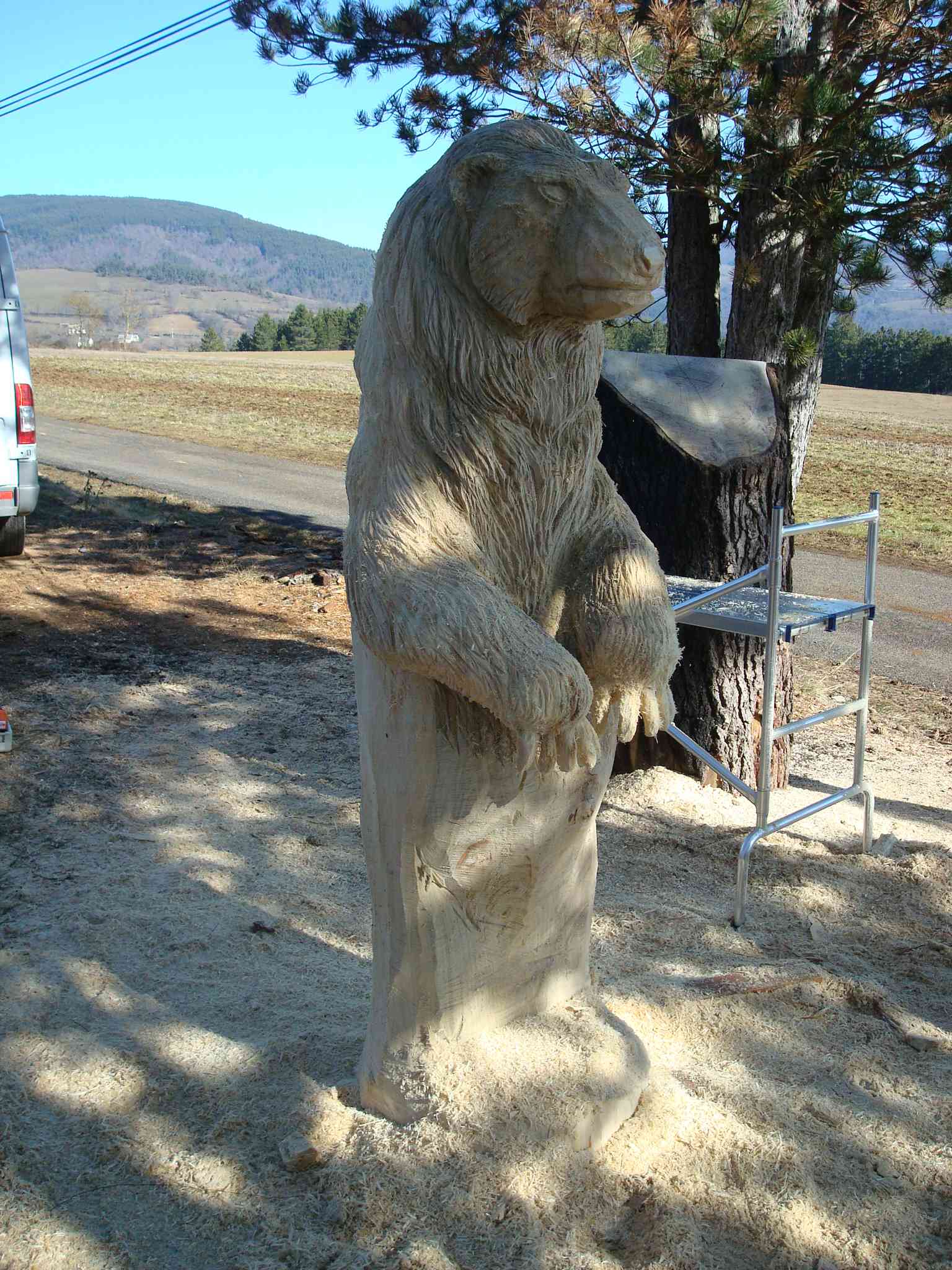 ours